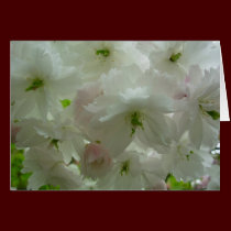 Cherry Blossom Card White Blossom Card Personalize cards