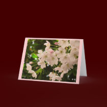 Cherry Blossom Card White Blossom Card Personalize cards