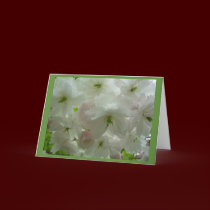 Cherry Blossom Card White Blossom Card Personalize cards