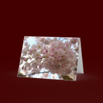 Cherry Blossom Card White Blossom Card Personalize cards