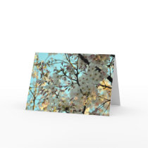 Cherry Blossom Design Card