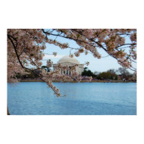 Cherry Blossom Festival & Jefferson Memorial posters by almedic104 Cherry Blossom Festival & Jefferson Memorial posters