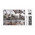 Cherry Blossom Festival, Washington DC postage by Alegra Cherry Blossom Festival, Washington DC postage