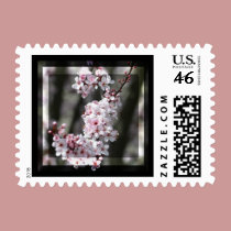 Cherry Blossom Floral stamps