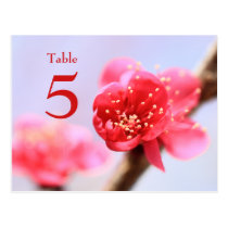 Cherry blossom flowers wedding table number card post cards
