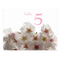 Cherry blossom flowers wedding table number card post cards