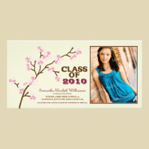 Cherry Blossom Graduation Announcement (pink) photo cards