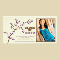Cherry Blossom Graduation Announcement (purple) photo cards