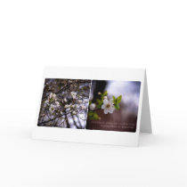 Cherry Blossom • Greeting Card by SabineSt Cherry Blossom • Greeting Card