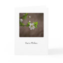 Cherry Blossom • Greeting Card by SabineSt Cherry Blossom • Greeting Card