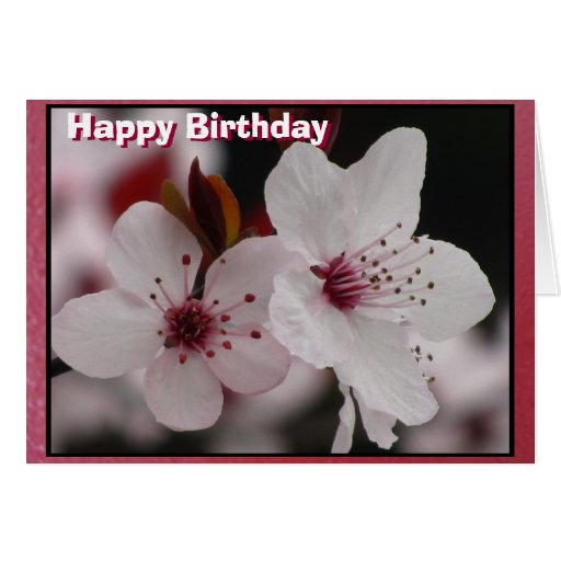 Cherry Blossom Happy Birthday Greeting Card Zazzle