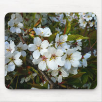 Cherry Blossom II mousepads by artberry Cherry Blossom II mousepads