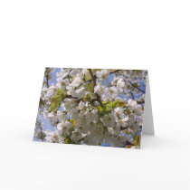 Cherry Blossom II note card