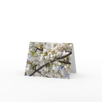 Cherry Blossom III note card cards