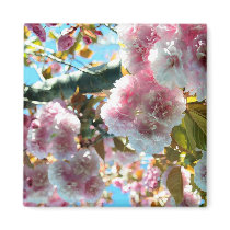 Cherry Blossom Impression Magnet