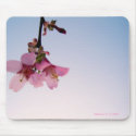 Cherry Blossom In the Sky Mousepad