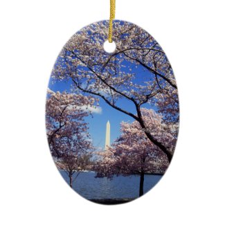 Cherry blossom in Washington DC Ornament