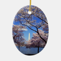 Cherry blossom in Washington DC Ornament
