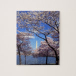 Cherry blossom in Washington DC Puzzle