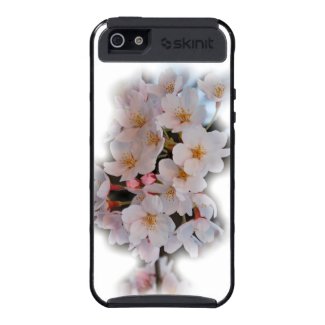 Cherry Blossom iPhone 5 Case