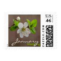Cherry Blossom • January Wedding Stamp by SabineStGreetings Cherry Blossom • January Wedding Stamp