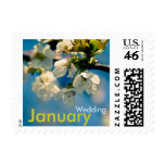 Cherry Blossom • January Wedding Stamp