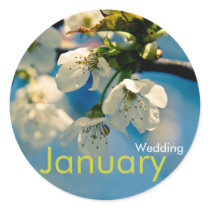 Cherry Blossom • January Wedding Sticker by SabineStGreetings Cherry Blossom • January Wedding Sticker