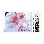 pink Cherry Blossom Love postage stamps