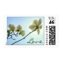 Cherry Blossom Love postage stamps by photoinspiration Cherry Blossom Love postage stamps