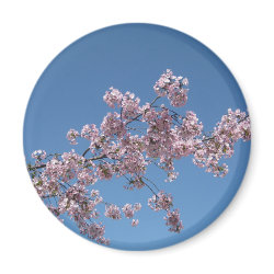 Cherry Blossom Magnet magnet