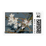 Cherry Blossom March Wedding