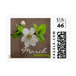 Cherry Blossom • March Wedding Stamp