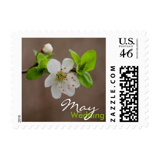 Cherry Blossom • May Wedding Stamp