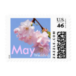 Cherry Blossom • May Wedding Stamp