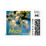 Cherry Blossom • May Wedding Stamp