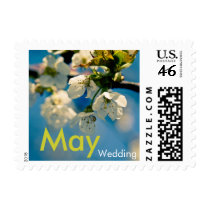 Cherry Blossom • May Wedding Stamp by SabineStGreetings Cherry Blossom • May Wedding Stamp