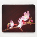 Cherry Blossom Mousepad