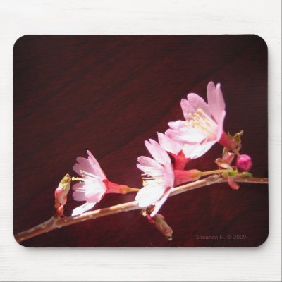 Cherry Blossom Mousepad by indolilly