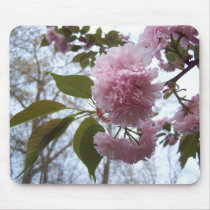 Cherry Blossom Mousepad