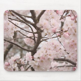 Cherry Blossom Mousepad mousepad