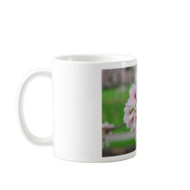 Cherry Blossom mugs