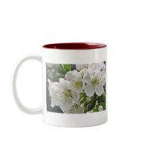 Cherry Blossom Mug