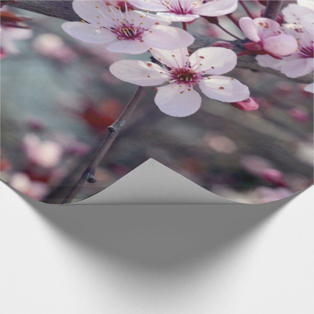 Cherry Blossom Nature Floral Wrapping Paper 4/4