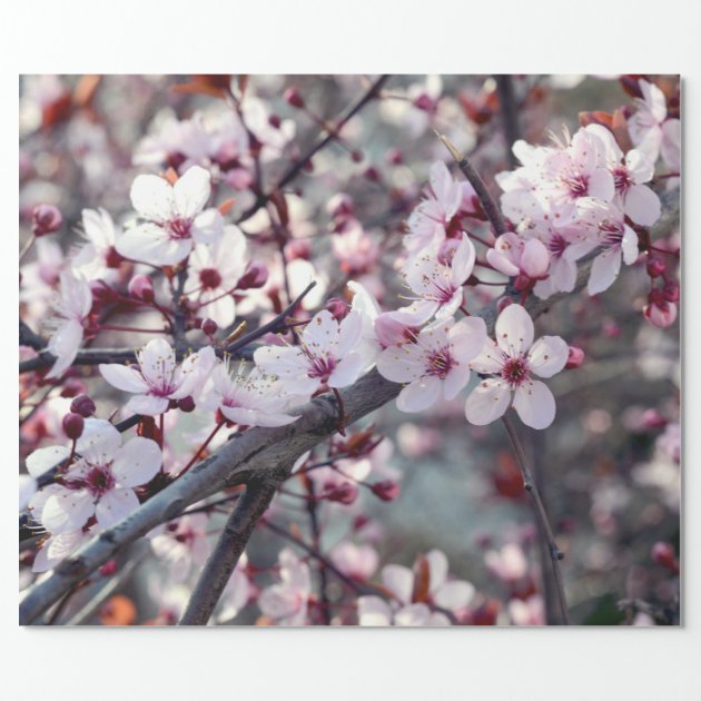 Cherry Blossom Nature Floral Wrapping Paper