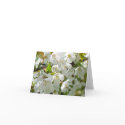 Cherry Blossom note card by bigspl Cherry Blossom note card