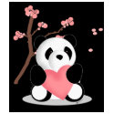 Cherry Blossom Panda t-shirts