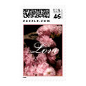 Cherry Blossom Postage Stamp by TDSwhite Cherry Blossom Postage Stamp