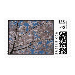 Cherry Blossom Postage Stamps stamp