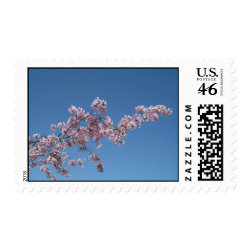 Cherry Blossom Postage Stamps stamp
