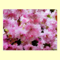 CHERRY BLOSSOM postcards